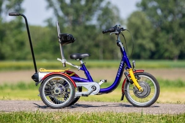 Conseils pour l achat d un tricycle pour enfants Van Raam Mini