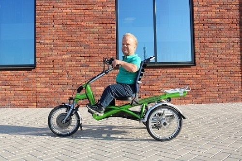 Un petit tricycle pour adultes de Van Raam Easy Rider Small