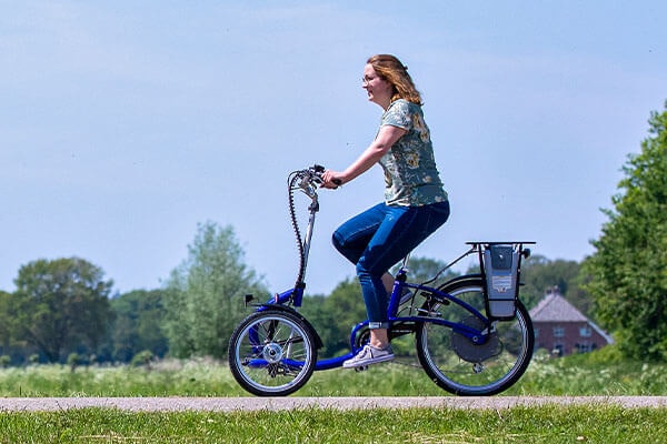 Un petit tricycle pour adultes par Van Raam Viktoria