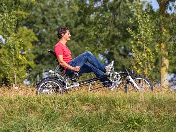 Van Raam Easy Sport  elektrisches Dreirad für Erwachsene