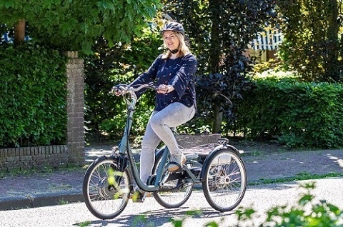 Tricycle for adults Maxi Van Raam