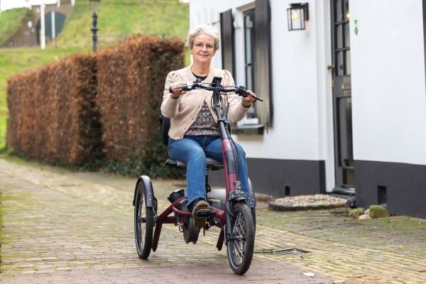 Nieuw Van Raam zitdriewielfiets Easy Rider Compact