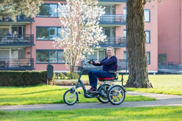 alternative for mobility scooter easy go van raam