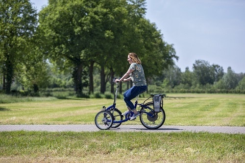 Tricycle électrique Van Raam Viktoria pour adultes