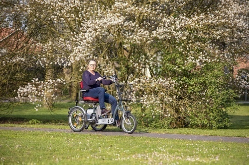 Tricycle électrique Van Raam Easy Go pour adultes