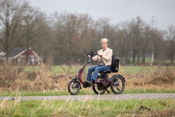 Dreirad für Erwachsene Easy Rider Compact Van Raam