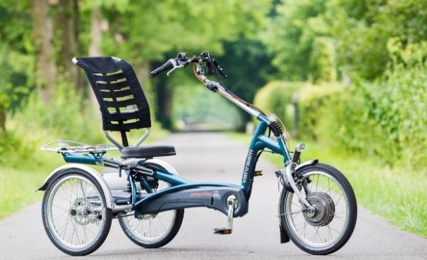 All around the best armchair tricycle Van Raam Easy Rider