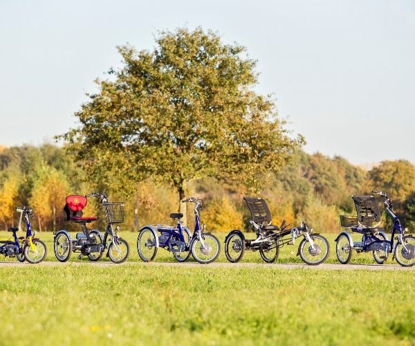 Adaptive bikes by Van Raam