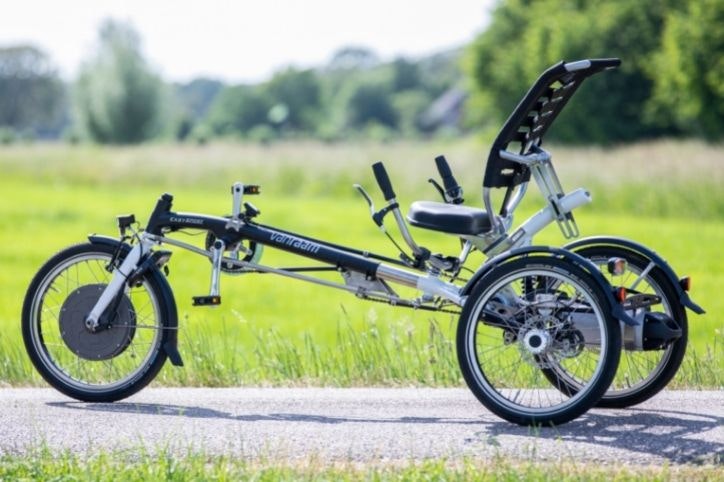 Sport tricycle for adults Easy Sport Van Raam