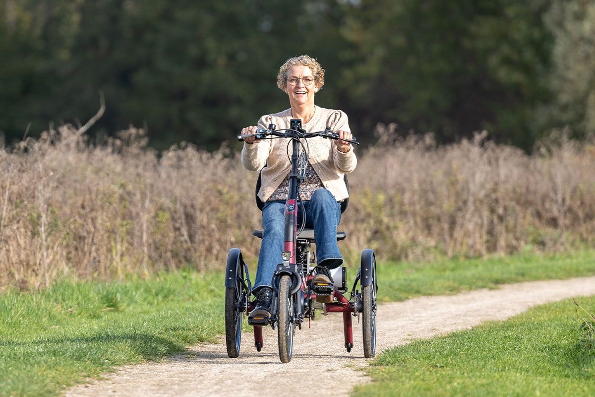 Easy Rider Compact Van Raam elektrische driewieler