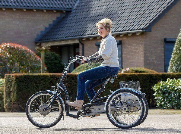 Van Raam Elektronisches Dreirad mit niedrigem Einstieg Maxi Comfort