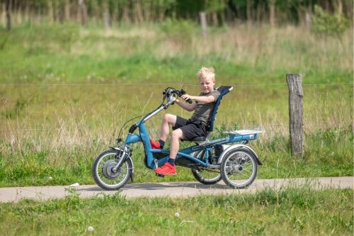 Tricycle Easy Rider Small Van Raam