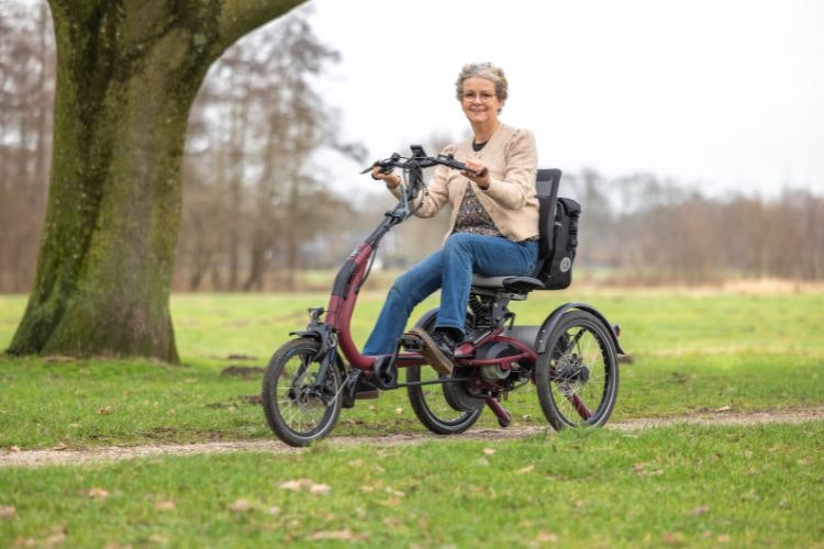 Easy Rider Compact revalidatie fiets van Van Raam