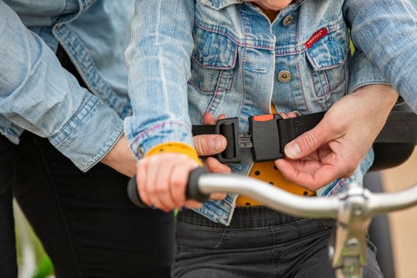 Van Raam tandem accessoires gordel voor de rugleuning