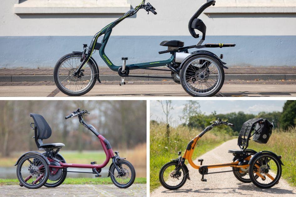 Default color for Van Raam bicycles tricycles Mini and Husky and tricycles Viktor and Viktoria