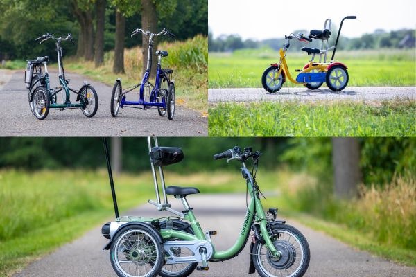 Standaard kleuren voor Van Raam fietsen driewielfietsen Mini en Husky en driewielers Viktor en Viktoria