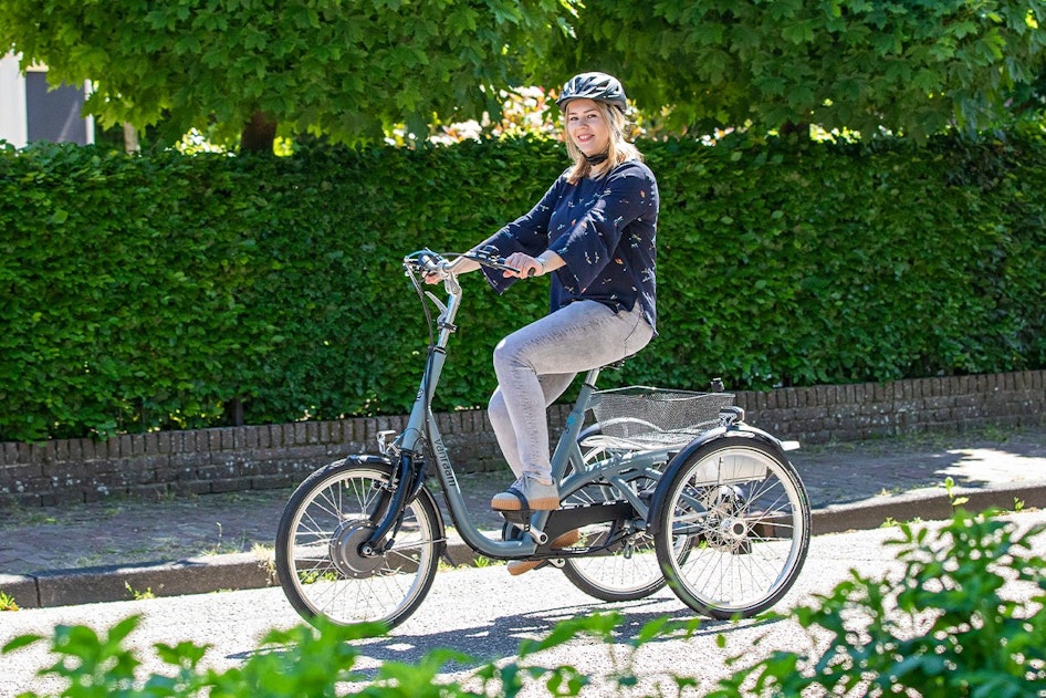 ROGONPDK Opvouwbare driewieler voor volwassenen, 24 inch (61 cm), 3