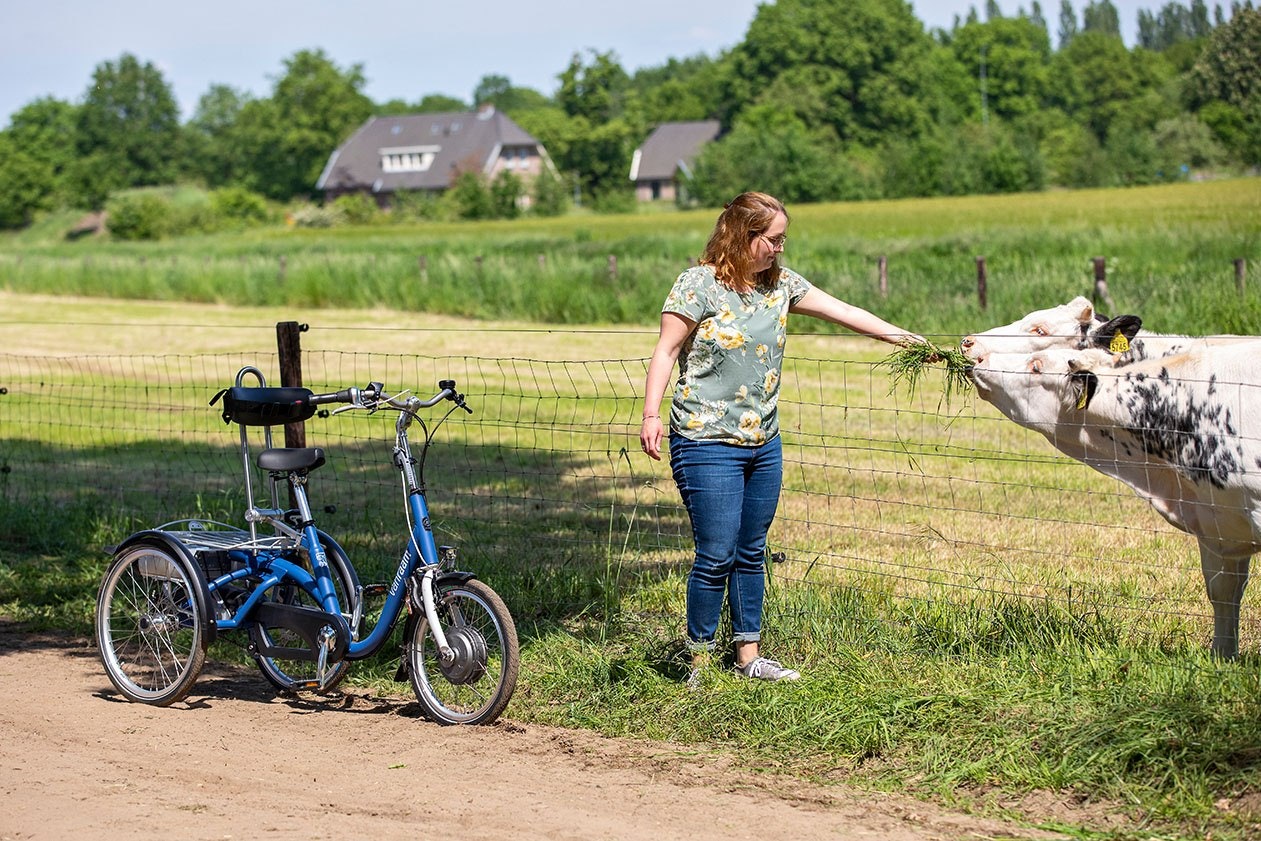 Tricycle for teenager Midi Van Raam