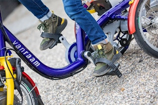 meijer tricycle