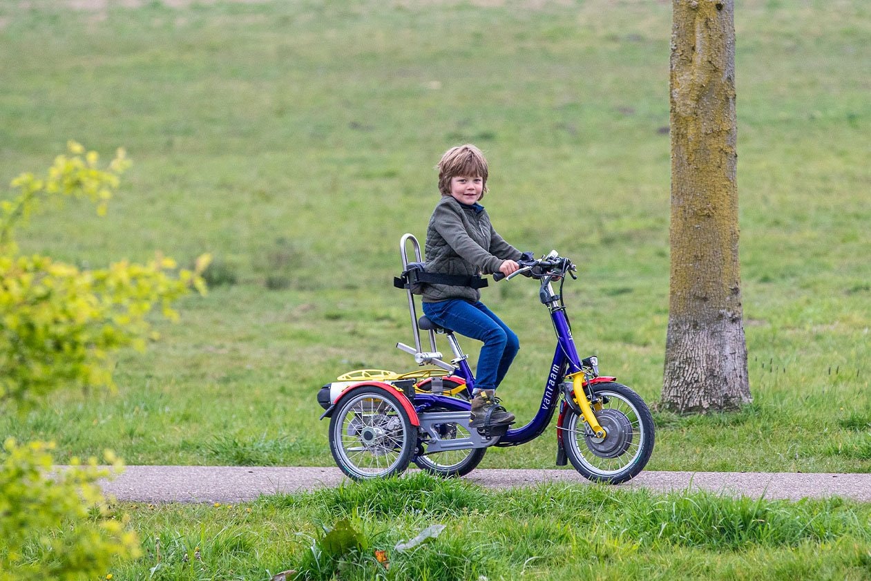 Tricycle électrique pour enfants Van Raam Mini