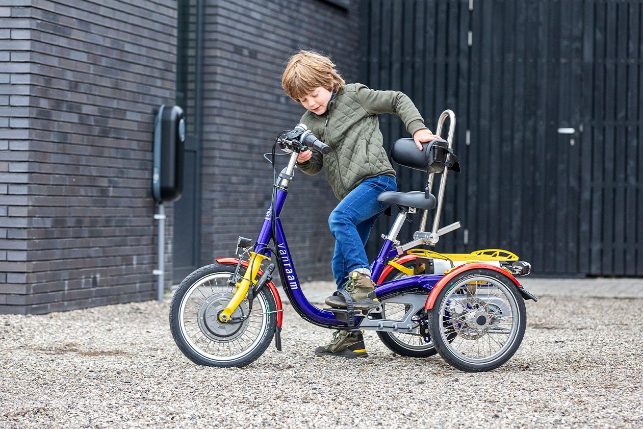Van Raam Mini tricycle pour les enfants
