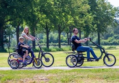 The drive system on a Van Raam special needs bicycle fixed gear