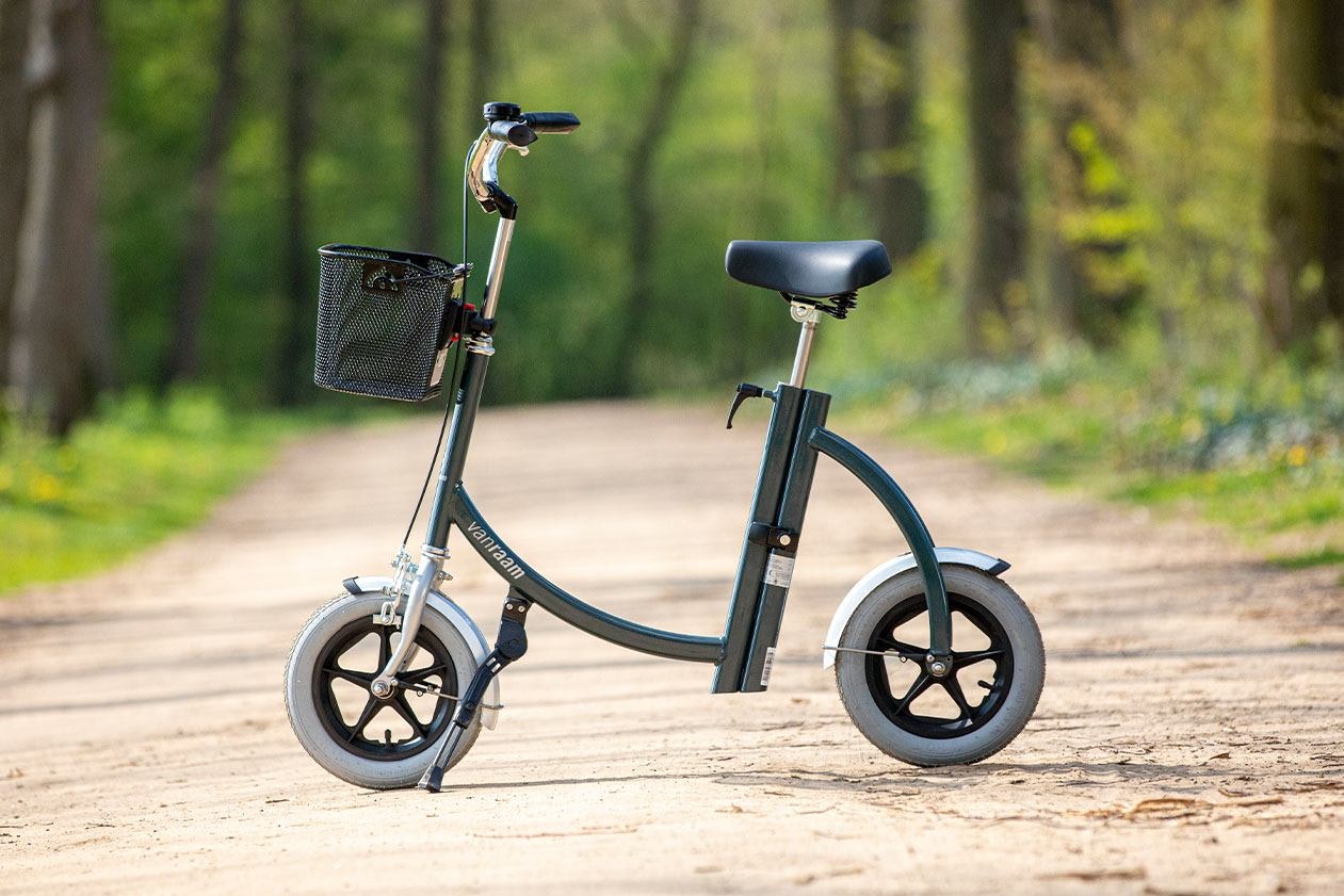 Low entry City walking support Van Raam Balance bike for little people