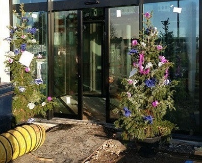 nieuwe bomen bij van raam gebouw