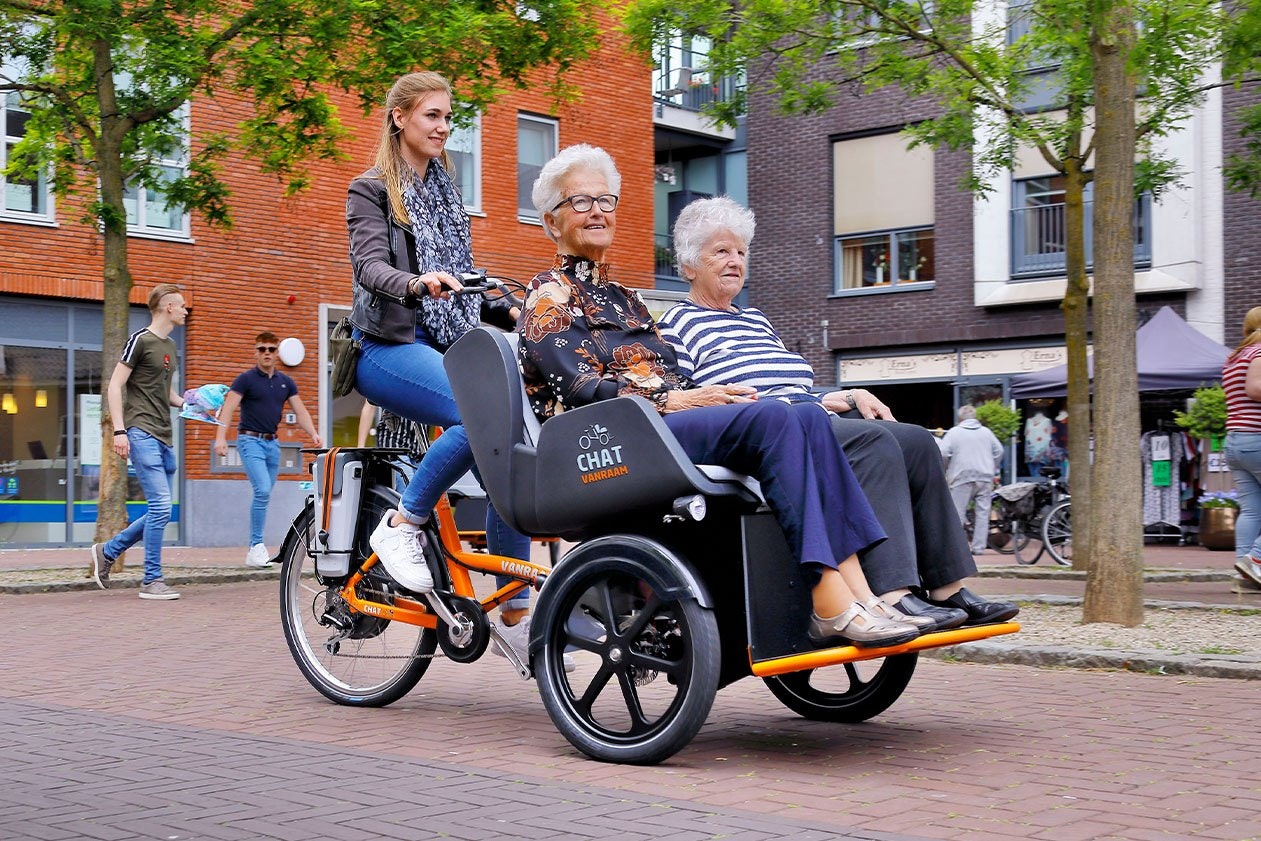 Chat riksja transportfiets Van Raam