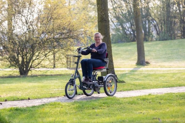 maintain mobility with the van raam easy go mobility scooter bike
