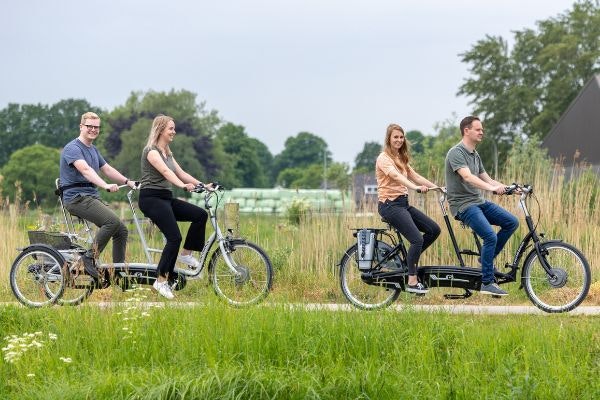 orthopedic bike for adults van raam tandems