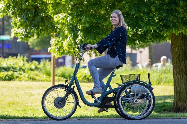 orthopedische driewieler voor volwassenen van raam maxi