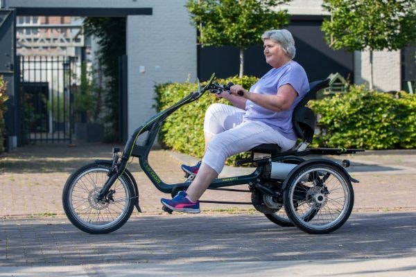 Orthopädisches Fahrrad mit 3 Rädern van raam easy rider