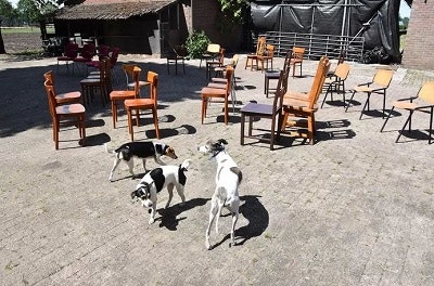 Beerdigung mit Duo Fahrrad in Erp