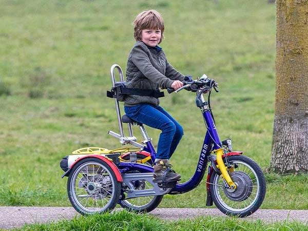 Gears on adapted Van Raam bicycles Mini tricycle