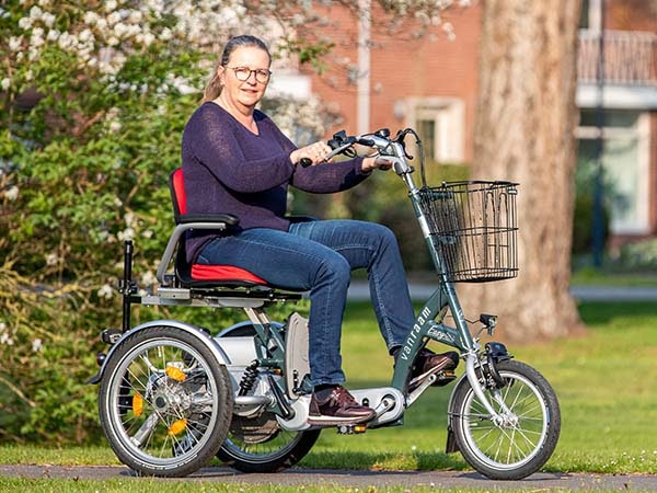Gangschaltung an Van Raam Spezialfahrrad Easy Go Elektromobil Dreirad
