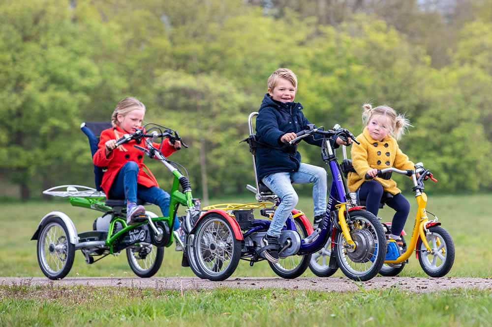 Voir tous les Van Raam tricycles pour enfants