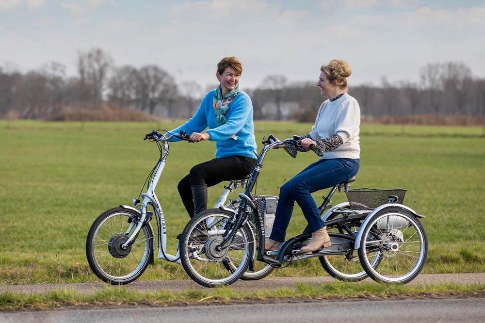 Balance Tiefeinsteiger Fahrrad, Senioren Fahrrad Van Raam