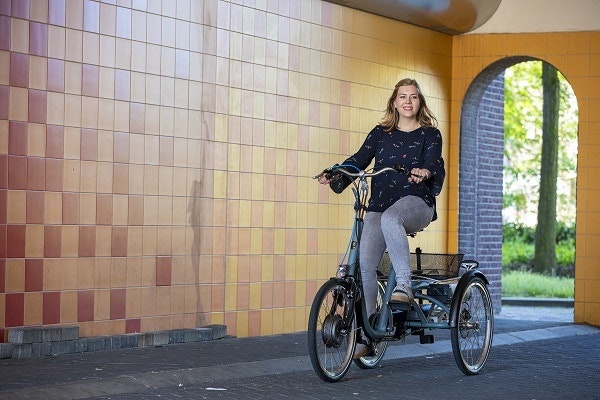 Maxi Dreirader Radfahren mit einer Hirnerkrankung Van Raam