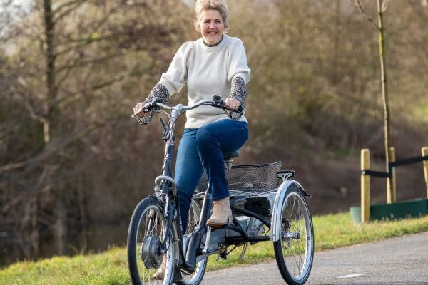 Maxi Comfort lage instap driewieler fietsonderhoud Van Raam