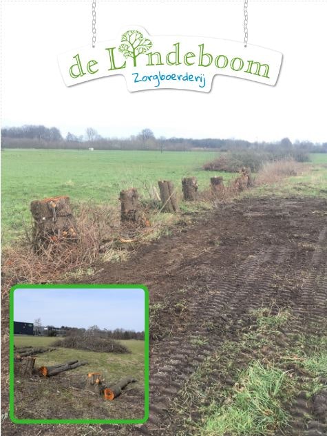 bomen gekapt van raam doneer aan zorgboerderij