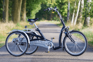 Electric tricycle for seniors low step through