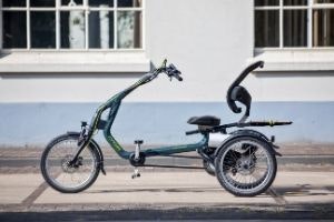 Electric tricycle for seniors trike with seat