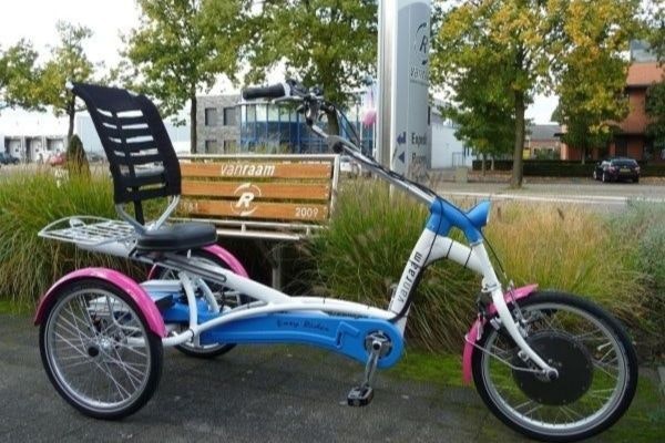 Tricycle Easy Rider en couleurs Breng de Van Raam