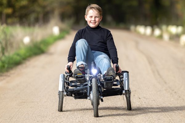 Trike for disabled adults hotsell