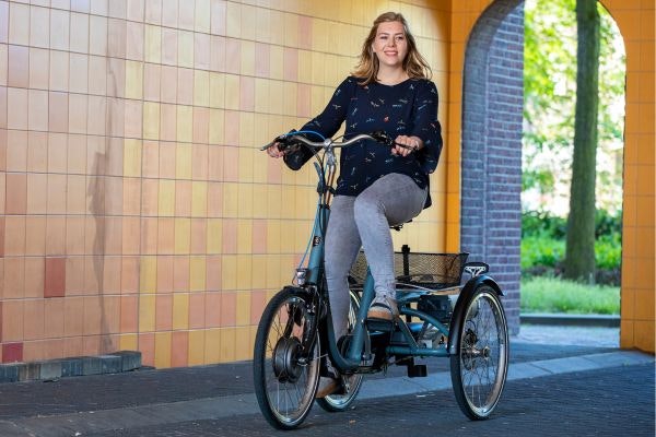 Traditionelle Dreirad fur Erwachsene Maxi Van Raam