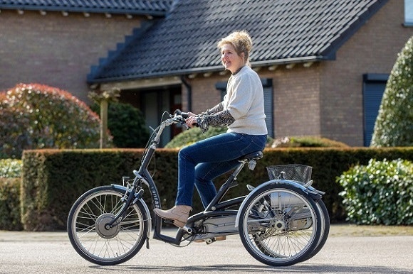 Dreirad fur Erwachsene mit niedrigem Einstieg Maxi Comfort Van Raam