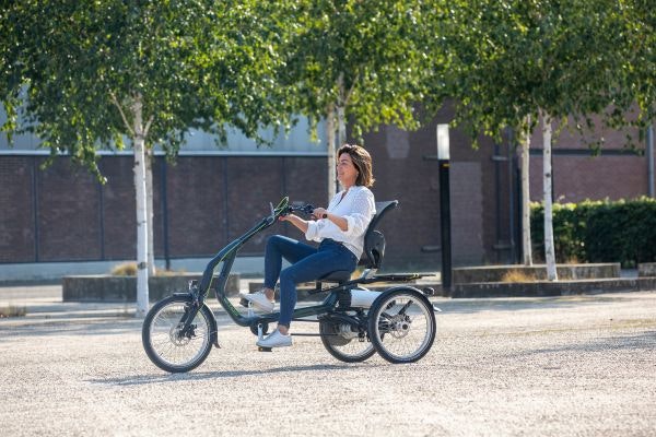 Tricycle with seat easy rider van raam