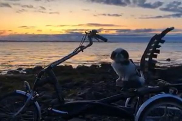 facebook video angepaste fahrrader island mobility is