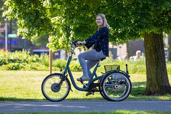 Ein Fahrradkorb an Ihrem Van Raam Fahrrad?